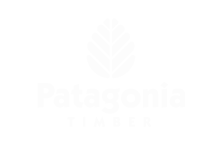 patagonia_vertical_verde2